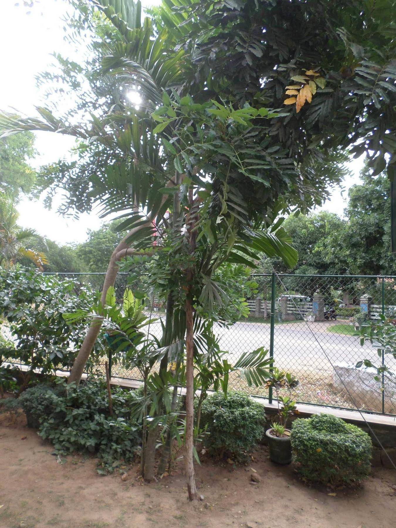 Hotel Senora Kataragama Luaran gambar